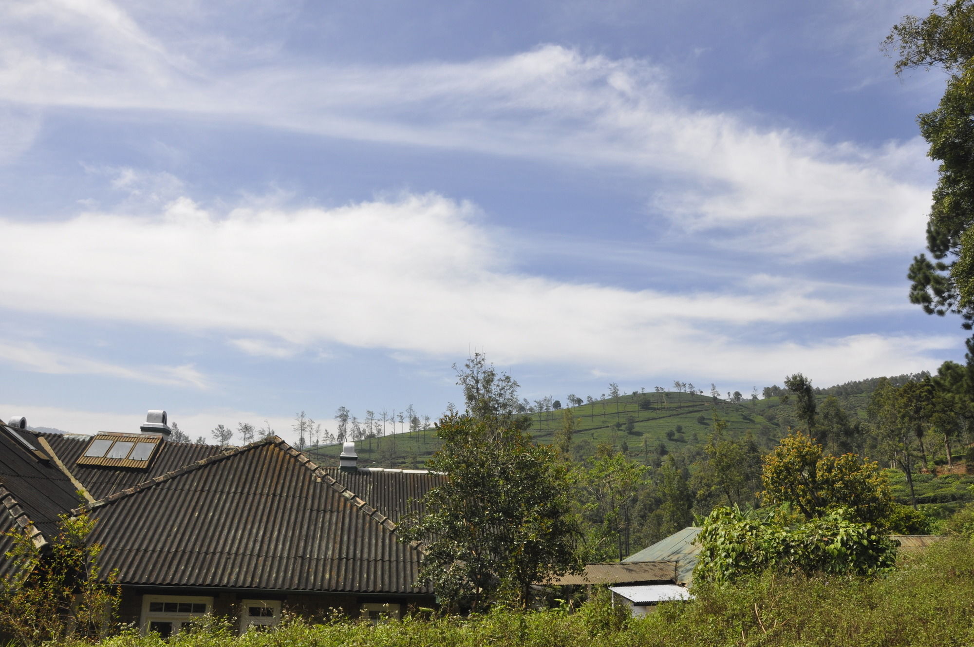 Scottish Planter Bungalow- Thema Collection Nuwara Eliya Exterior photo
